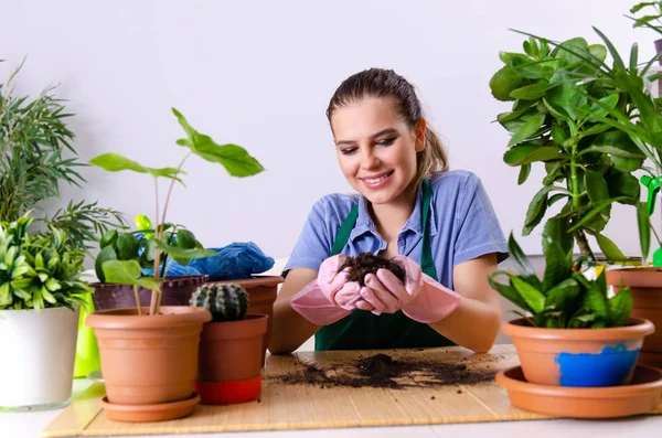 Young female gardener with plants indoors — Stock Photo, Image