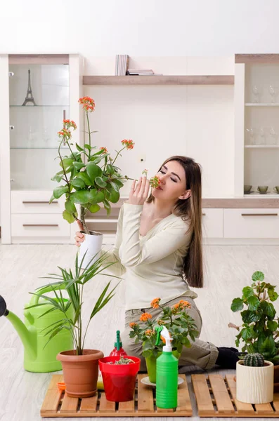 Joven jardinero femenino con plantas en el interior —  Fotos de Stock