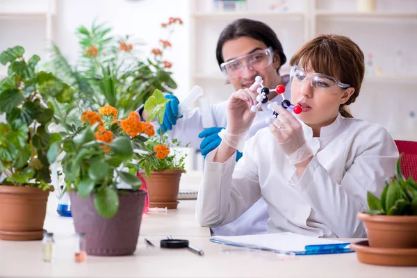 Dos jóvenes botánicos trabajando en el laboratorio —  Fotos de Stock