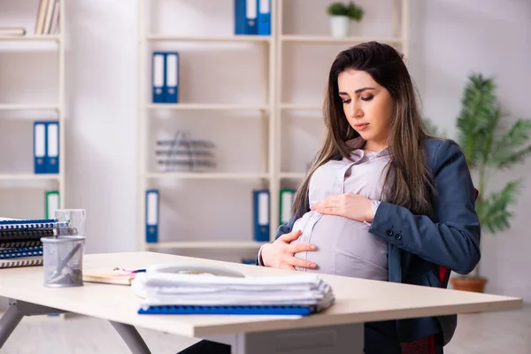 Fiatal terhes nő dolgozik az irodában — Stock Fotó