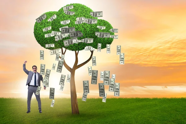 Businessman with money tree in business concept