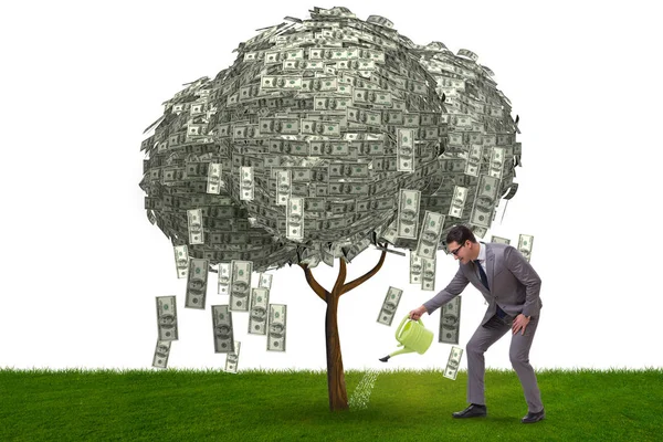 Empresario regando árbol de dinero en concepto de inversión — Foto de Stock