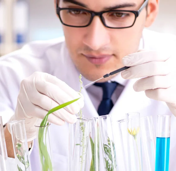 Scientifique en biotechnologie chimiste travaillant en laboratoire — Photo