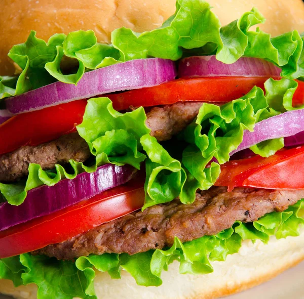 Burger podávaný v housce v konceptu výživy fast food — Stock fotografie