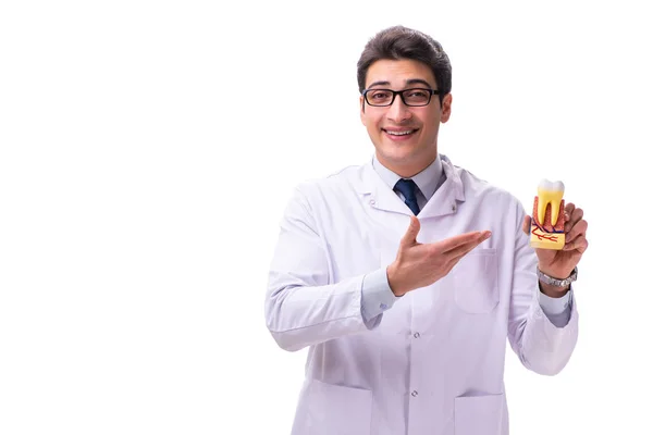Ung manlig läkare stomatolog isolerad på vitt — Stockfoto