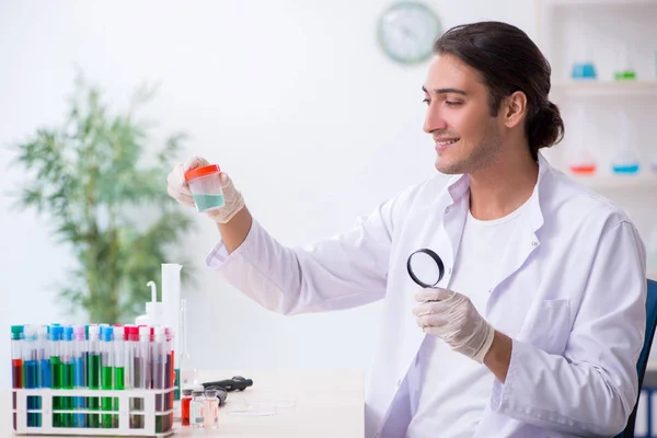 Jovem químico do sexo masculino que trabalha no laboratório — Fotografia de Stock