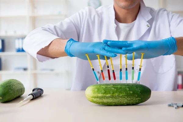Nutrizione maschile esperto test verdure in laboratorio — Foto Stock