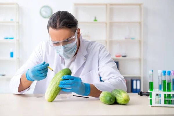 Mannelijke voeding expert testen van groenten in het lab — Stockfoto