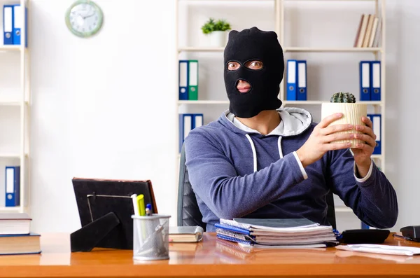 Männlicher Dieb mit Sturmhaube im Büro — Stockfoto