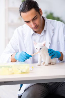 Genç erkek doktor hasta kediyi muayene ediyor.