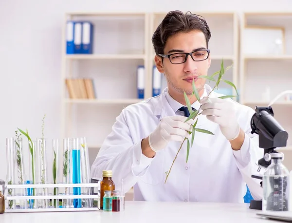 Der Biotechnologe Chemiker arbeitet im Labor — Stockfoto