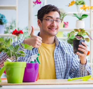 Çiçekçide çalışan genç bir adam.