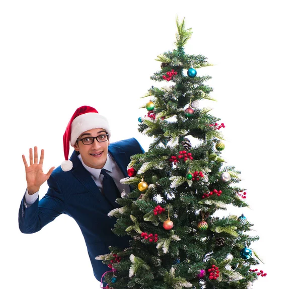 Businessman decorating christmas tree isolated on white — Stock Photo, Image