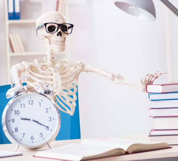 Esqueleto de estudante se preparando para exames — Fotografia de Stock