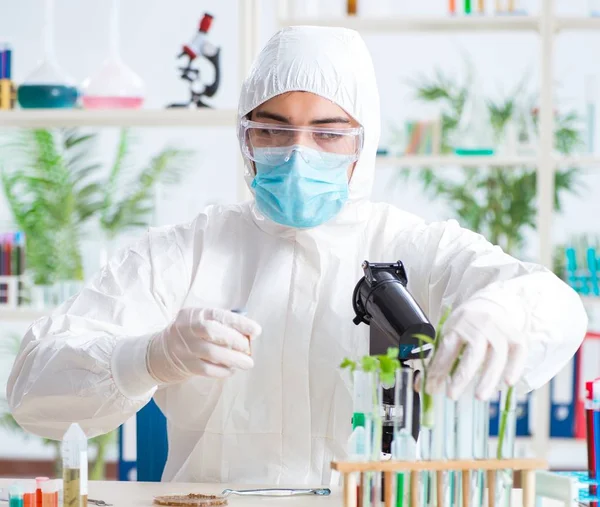 Bioquímico masculino trabajando en el laboratorio de plantas —  Fotos de Stock