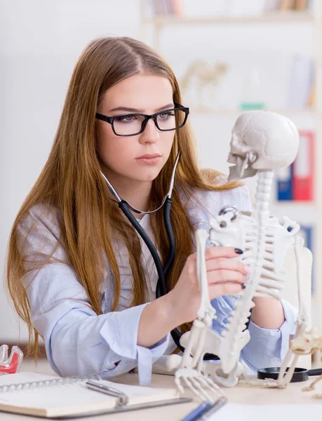 Studente seduto in classe e studiare scheletro — Foto Stock
