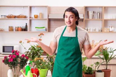 Genç yakışıklı adam evde çiçek yetiştiriyor.