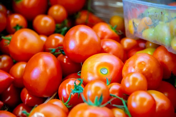 番茄在市场展示摊位 — 图库照片