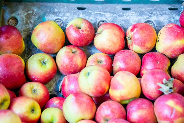 Apples at the market display stall — Stock Photo, Image