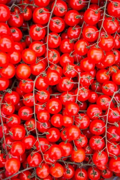 Tomatoes at the market display stall — Stock Photo, Image