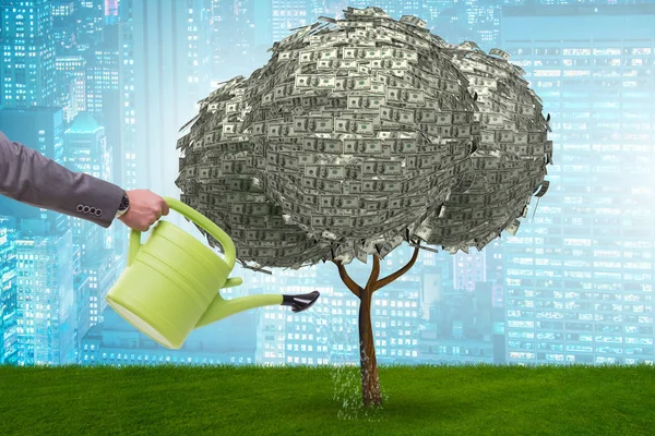 Zakenman water geven van geld boom in investeringsconcept — Stockfoto