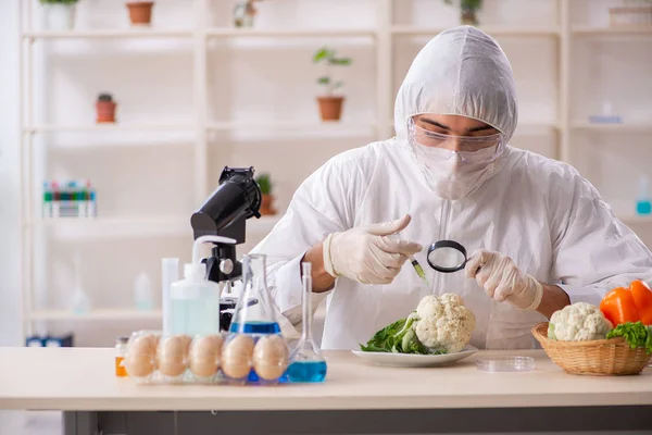 Científico trabajando en laboratorio sobre frutas y verduras transgénicas — Foto de Stock