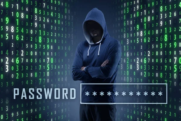 Hacker in digital security concept — Stock Photo, Image
