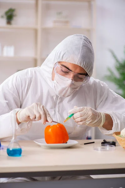 Scientist working in lab on GMO fruits and vegetables Stock Photo