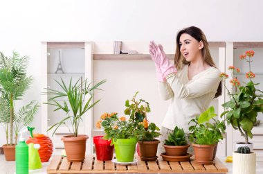 Evin içinde bitkileri olan genç bayan bahçıvan.