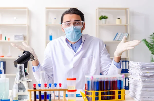 Jonge mannelijke chemicus werkzaam in het lab — Stockfoto