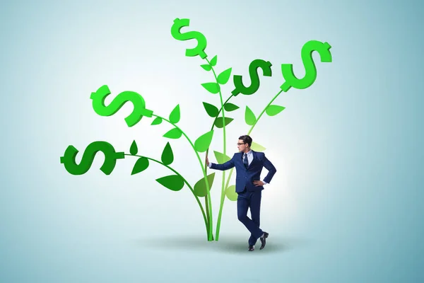 Money tree concept with businessman in growing profits — Stock Photo, Image