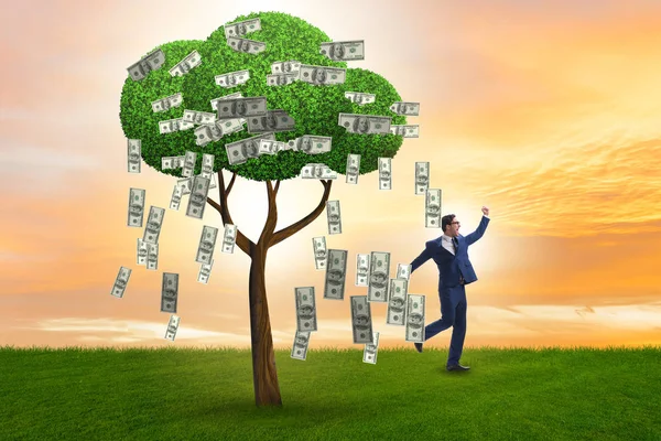 Zakenman met geldboom in business concept — Stockfoto