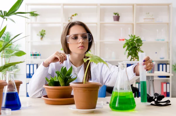 Joven química biotecnológica hermosa trabajando en el laboratorio — Foto de Stock