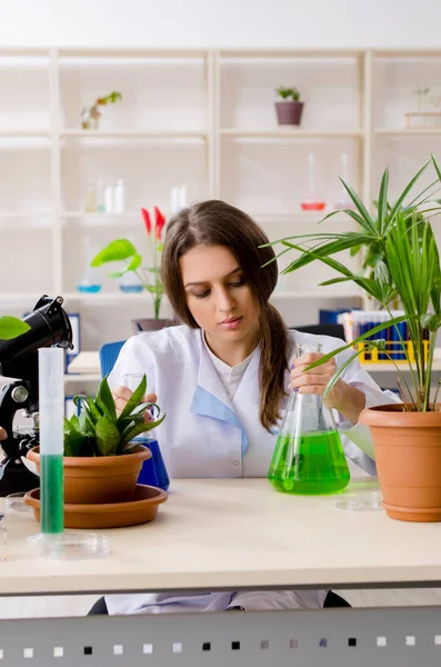 Joven química biotecnológica hermosa trabajando en el laboratorio — Foto de Stock