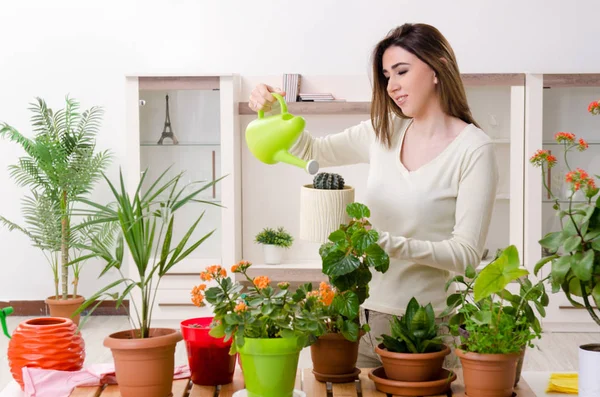 Giovane giardiniere femminile con piante al chiuso — Foto Stock