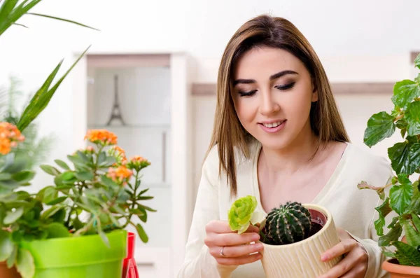 Молода жінка садівник з рослинами в приміщенні — стокове фото