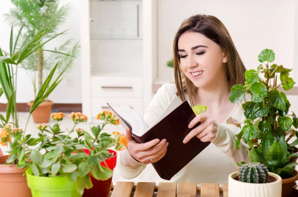 Giovane giardiniere femminile con piante al chiuso — Foto Stock