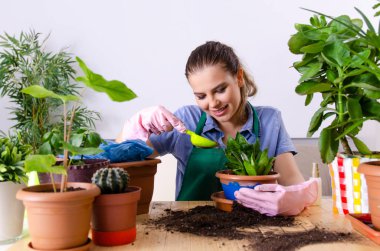 Evin içinde bitkileri olan genç bayan bahçıvan.