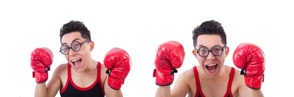 Lustige Boxer isoliert auf weißem Hintergrund — Stockfoto