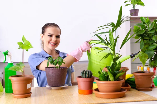 Ung kvinnlig trädgårdsmästare med växter inomhus — Stockfoto