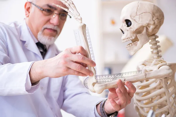 Verouderde mannelijke arts met skelet — Stockfoto