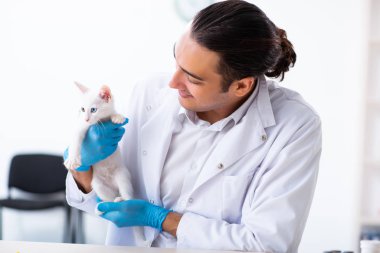 Genç erkek doktor hasta kediyi muayene ediyor.