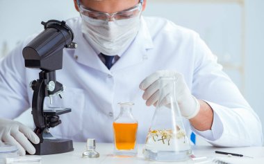 Laboratuvarda parfüm karıştıran bir kimyager.