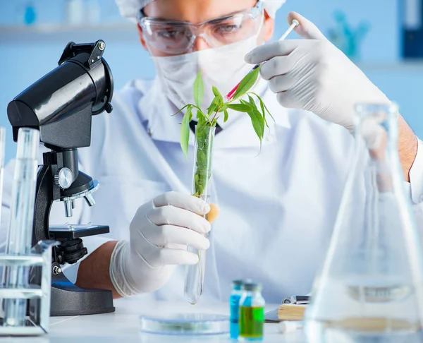 Biotechnology concept with scientist in lab — Stock Photo, Image