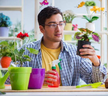 Çiçekçide çalışan genç bir adam.