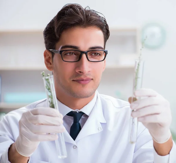 Bioteknikforskare, kemist, verksam i labb — Stockfoto