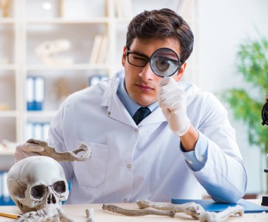 Profesör laboratuvarda insan iskeletini inceliyor.