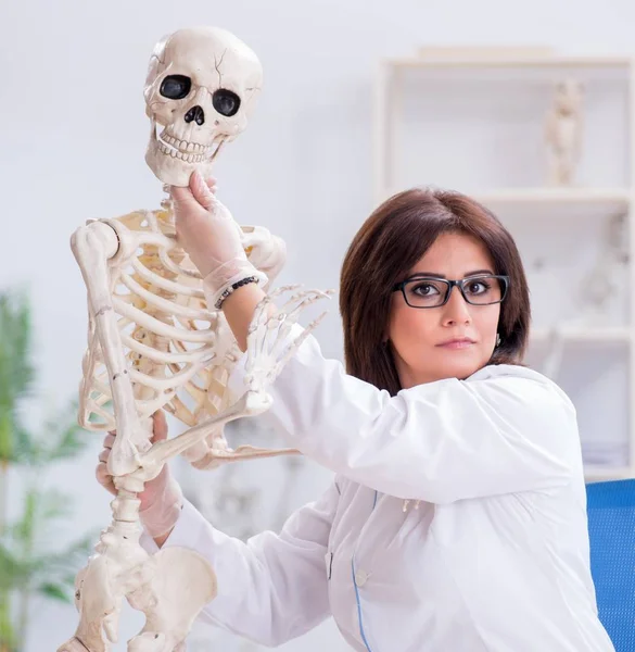 Doctor trabajando en el laboratorio en esqueleto — Foto de Stock