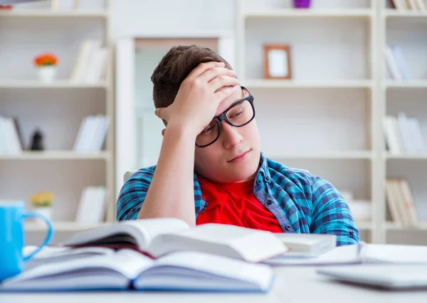 Young teenager preparing for exams studying at a desk indoors — Stock Photo, Image