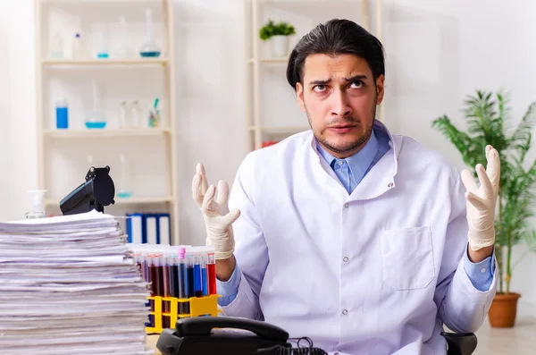 Young male chemist working in the lab — Stock Photo, Image